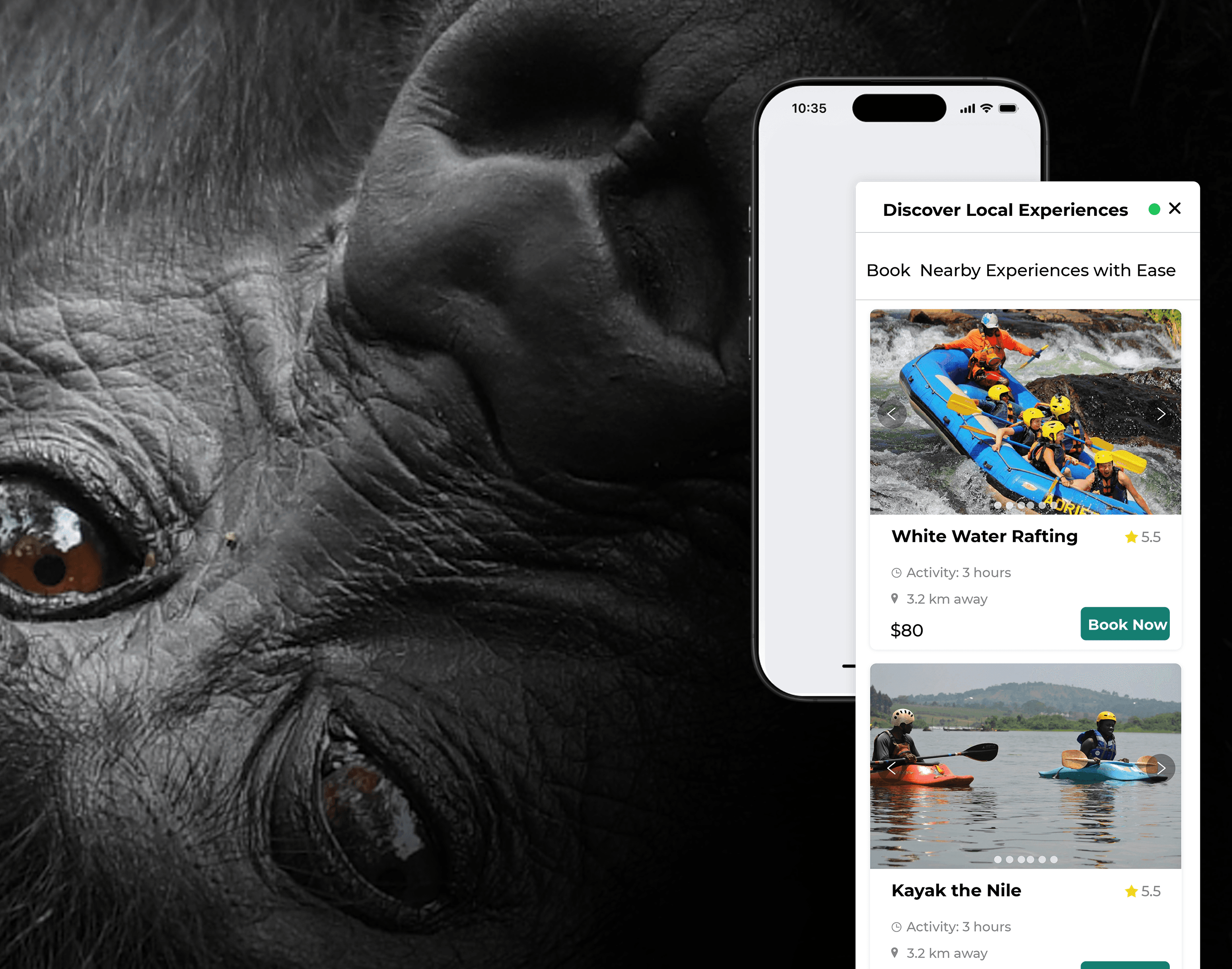 Destinely widget on a phone over a gorilla trekking experience