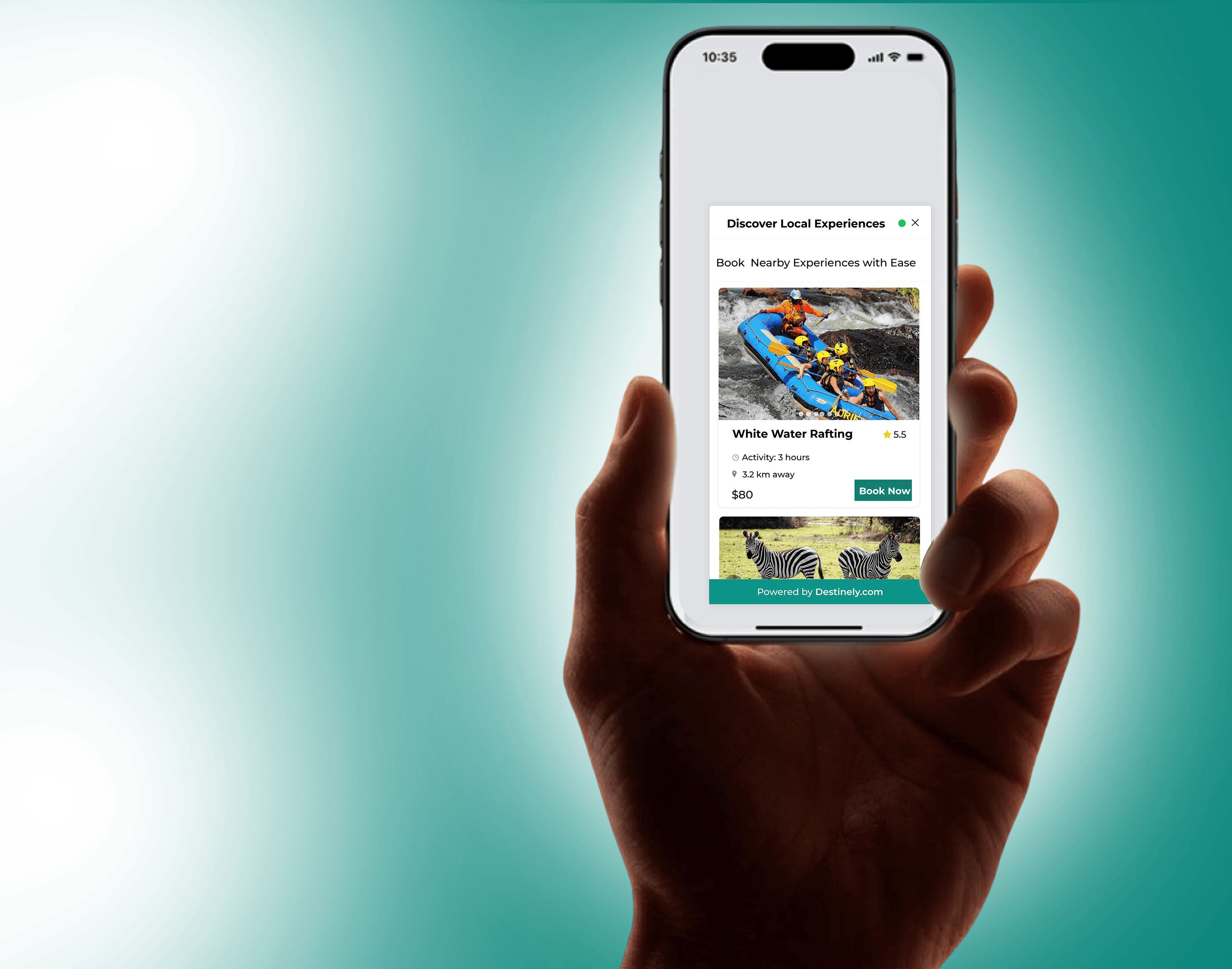 Destinely widget preview