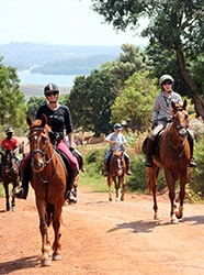 Adult Horse Riding 2