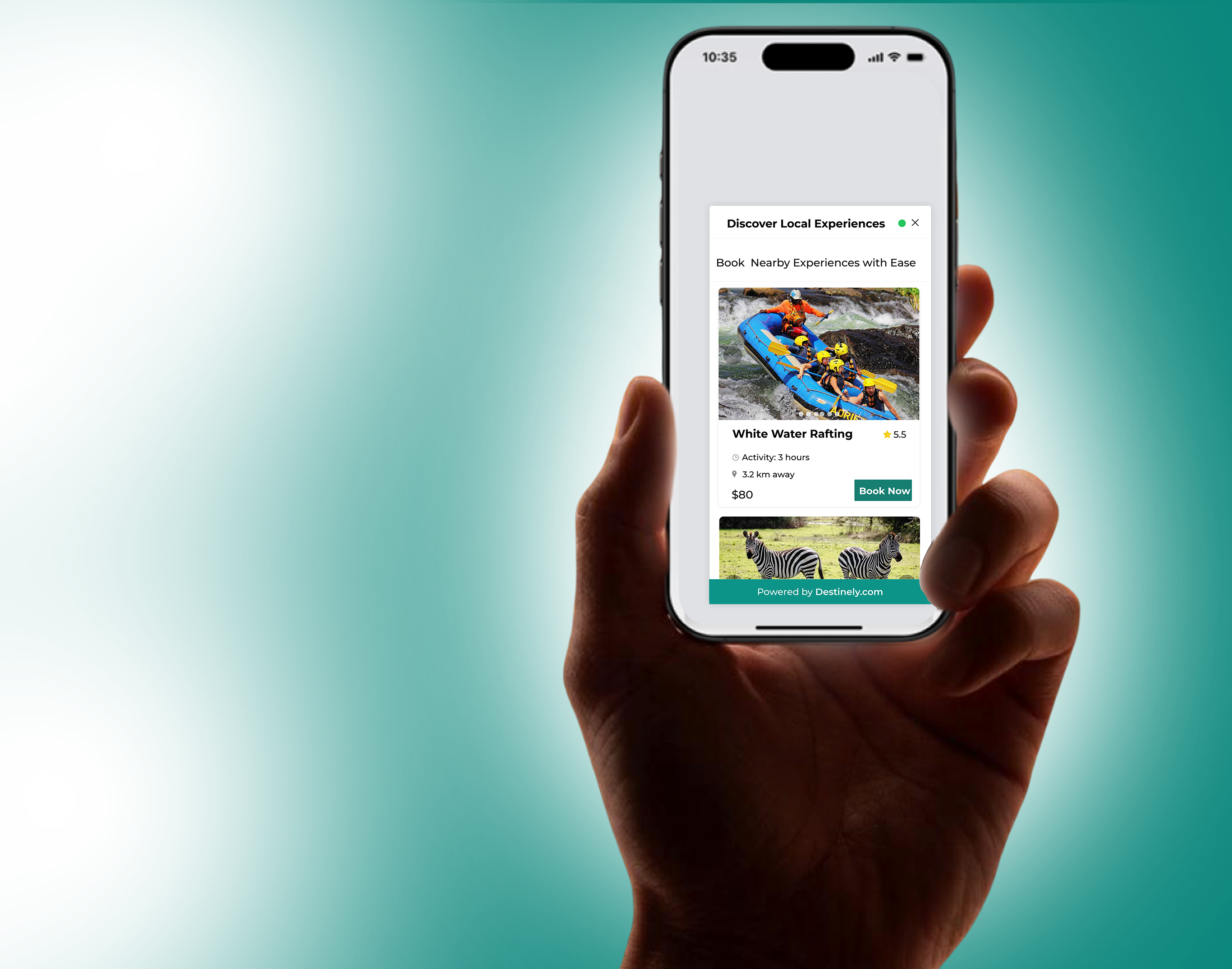 Destinely widget preview